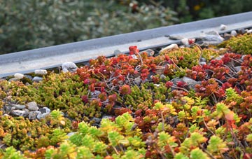 the cost of East Holton green roof installation