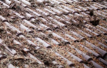 East Holton roof cleaning companies