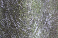 East Holton fibreglass roof work